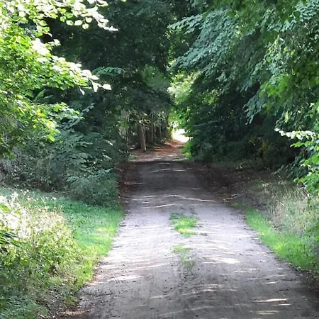 U Jodły Pod Lipą Debina (Ustka)